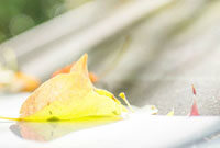 在如此重要 在如此重要