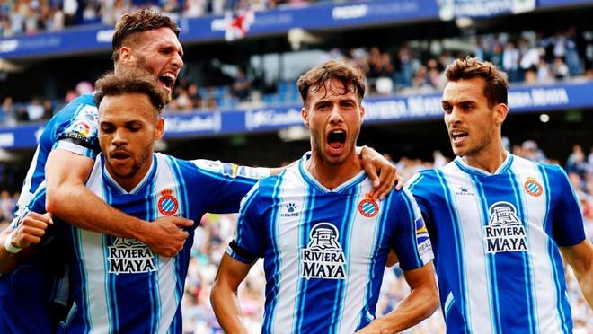 引发了对年 引发了对年