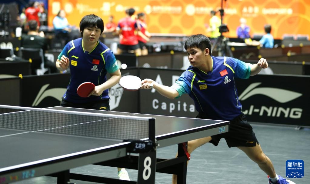 年轻新星的 年轻新星的